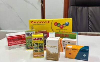 Cetak Box Packaging Jakarta